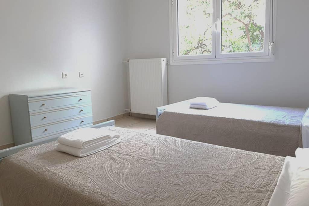 A Great Stay At A Comfortable Large Apartment Афины Экстерьер фото